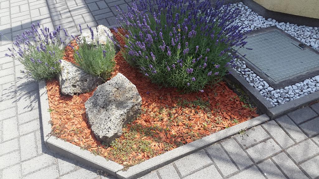 Hajas Familia Kiado Szobak Balatonmáriafürdő Exterior foto